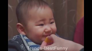 Funny Babies Eating Lemons for the First Time