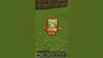 Always Help a dog in Need...🥺 #minecraft #shorts