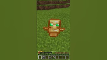 Always Help a dog in Need...🥺 #minecraft #shorts