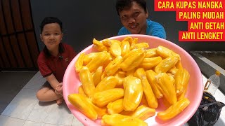 CARA KUPAS  BUAH NANGKA ANTI GETAH LENGKET - HOW TO OPEN JACKFRUIT