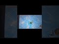 Peut on survivre à une chute sur le dos de Mineru #zelda #zeldatotk