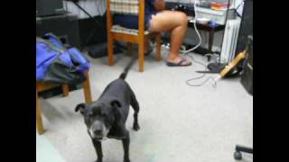 Original Song - Fatty Boombatty.mov