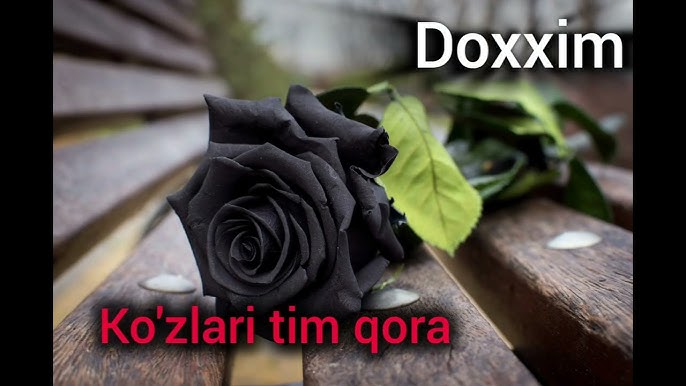 Yomgir darajasi porno Marsha May bilan porno video