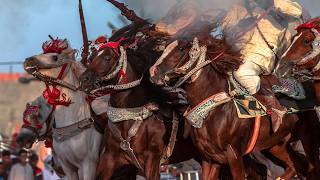 The Untold Stories of Animals in Warfare | Man and Beast