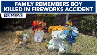 Child died from illegal fireworks being shot through window