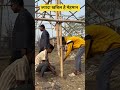 ज्यादा खबिल है मेहमान #mehman #kabila #reletable #realfools #shortvideos #viralvideos #videos