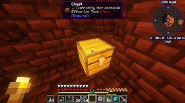 Minecraft bug, vanilla chest won