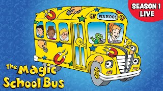 Live The Magic School Bus Season 1 Full Episodes Live Stream