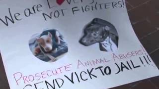 Celebrity Michael Vick Apologizes for Involvement in Dogfighting Profile
