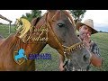 Caballos Argentinos - Programa 20 - Caballos Árabes - Doma Vaquera