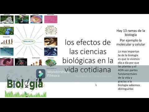 Mi video