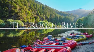 The Rogue River: A Must Do For All Adventurers