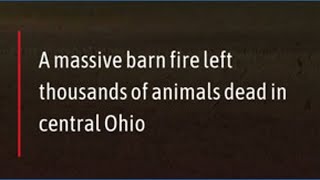 Massive barn fire in Madison County, Ohio kills 6,000 pigs