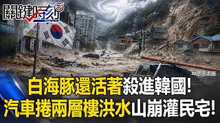 White Dolphins Are Alive Enter South Korea! Cars Swept Through Two-Story Flood as Landslides ...