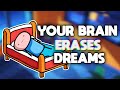 Why do we forget dreams?
