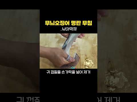 무늬오징어는 이렇게 드셔보세요..How to cook squid #낚아먹끼 #shorts
