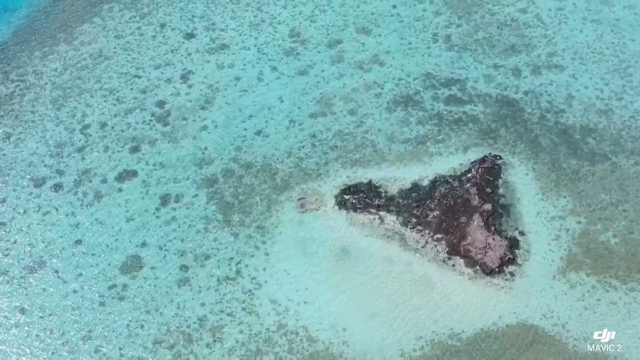 Drone Rodrigues. Hermitage