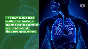 New method promises species-level assignment from algorithmic classifiers