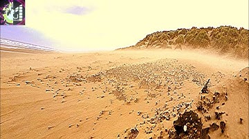 THE RHYTHM OF THE HENDECASYLLABLE