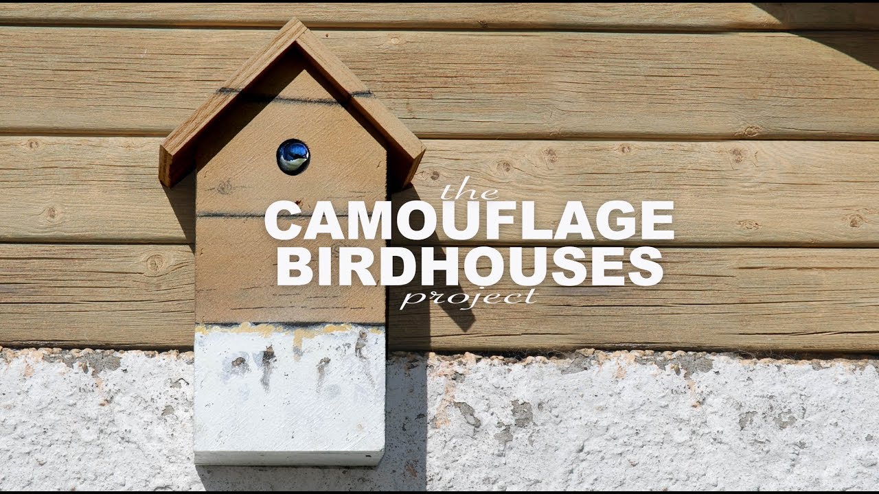 Camouflage birdhouses - A Street Art Project