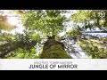 Milo - Jungle Of Mirror (Tomer Maizner Remix)