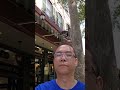 Beautiful St. Augustine Street Experience #street #experience #travel #fun #tour #florida #shorts