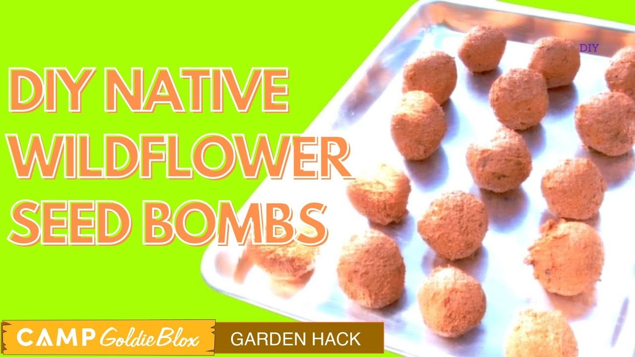 How to Make Wildflower Seed Balls a Zero Waste Garden Hack Camp