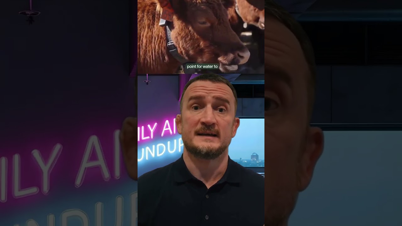 The Halter Cowgorithm Is Worth Two Billion Dollars!