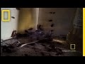 Download Cockroach Infestation | National Geographic Cockroach Infestation | National Geographic