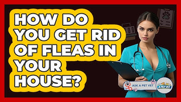 How Do You Get Rid Of Fleas In Your House? - Ask A Pet Vet