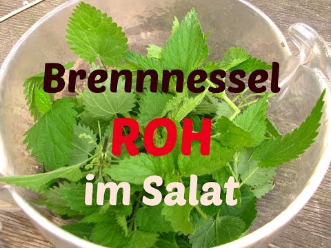 Video: Wie Man Brennnesselsalate Kocht