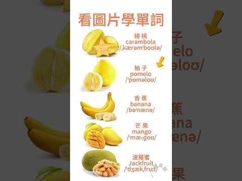 看圖片學英文詞彙 所見即所學 黃色水果系列 #英語