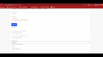 Custom Data: Validation Error Messages