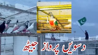 10th Perwaz Jeaith 2023 ||Ustad Moeen Nawaz ||Ustad Mithu Lali ||Pakistan Pigeons Club