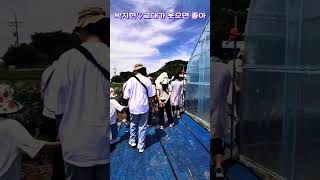 팜투어 농가 체험해요~#박지현 #그대가 웃으면 좋아 #미스터트롯