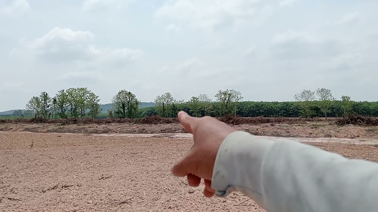 ขายที่ดิน 2 แปลงขายไร่ละ 160,000 บาทสนใจโทร 061-321 5668หรือโทร 098 007 5266ขอบคุณครับ