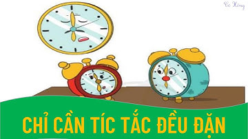 KỂ CHUYỆN: CHỈ CẦN TÍCH TẮC ĐỀU ĐẶN - LỚP 3 - SÁCH CÁNH DIỀU