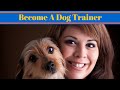 How To Become A Dog Trainer UK - Dog Jobs How To Become A Dog Trainer UK - Dog Jobs