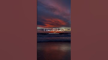 تلاوة هادئة تريح الأعصاب 😴🎧 القارئ: أحمد خضر سورة: القصص💙❤