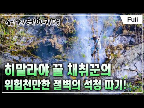 [Full] 세계테마기행 - 아름다운 시절 네팔- 도시별곡 산촌별곡