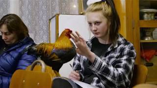 PECKING ORDER premieres Thursday 19 April on Rialto Channel