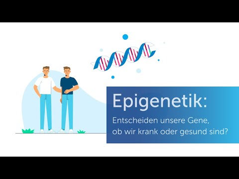 Video: Wie beeinflusst die Umgebung einer Zelle und eines Organismus die Genexpression?