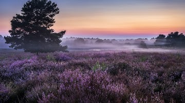 On the circuit of industries phase 3 - interviews with successful people in different countries