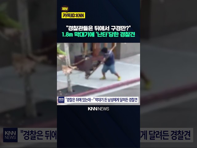 "개가 먼저 죽어야 하나?" 분노 체포 현장 뒤에 숨은 경찰관들/ KNN
