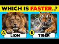 Can You Beat This Animal Speed Quiz? Most People Fail!