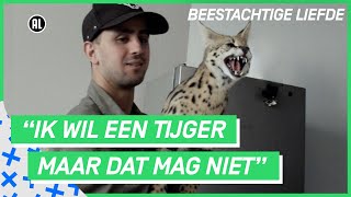 Wilde kat als huisdier | BEESTACHTIGE LIEFDE #4 | NPO 3