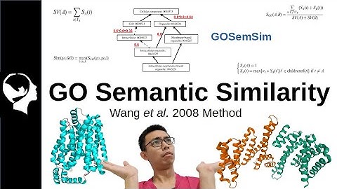 How to know if two genes are similar? | Semantic Similarity Explained