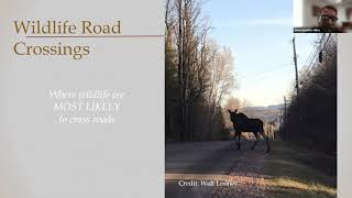 Climate Action and Resilience - The Role of Forests in Maintaining a Resilient State