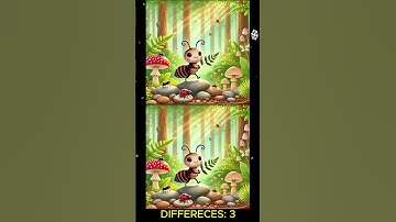 FIND THE 3 DIFFERENCE #54 I Quick-witted gameshow I