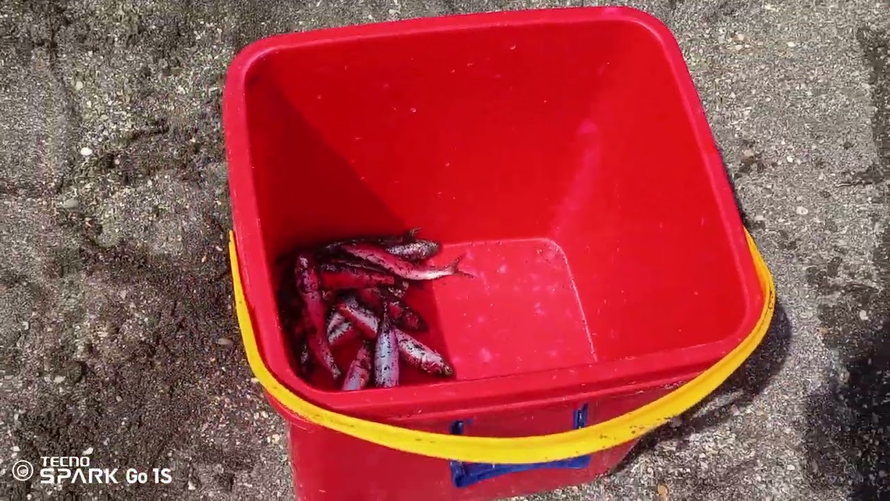 Thank you lord sa bleseng ngayong araw 🙏